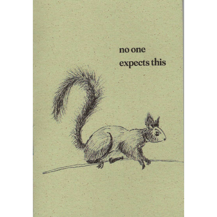 no one expects this